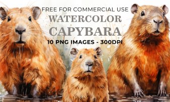 10 Capybara PNG Clipart - Free Download, Cute Animal Art for Instant Use